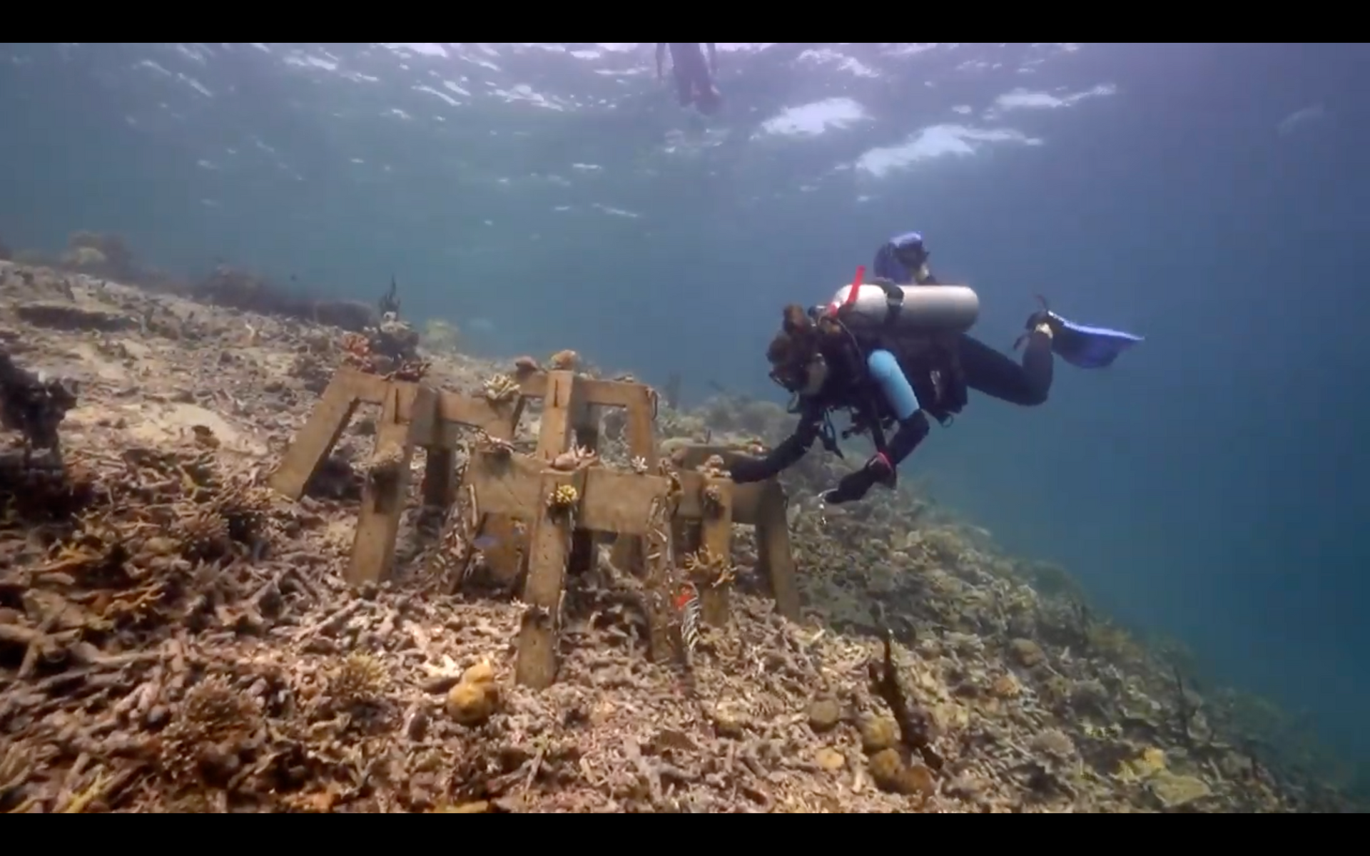 Charger la vidéo : présentation du projet sea academy par Laurent Ballesta
